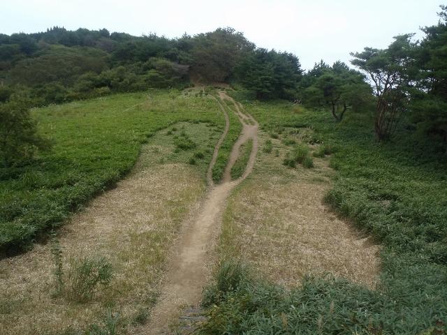 快適な草原歩きを満喫